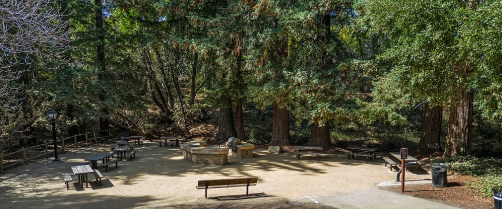 park with benches and picnic tables